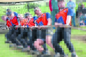 The best of the best