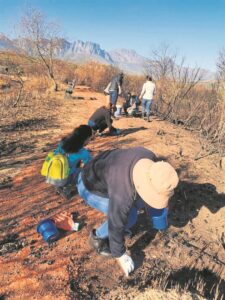 Nature reserve rehabilitated after inferno