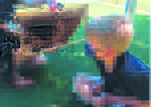 Learning via self-expression