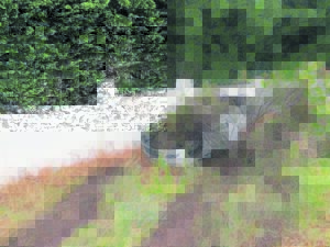 Landgoed in Somerset-Wes weer getref