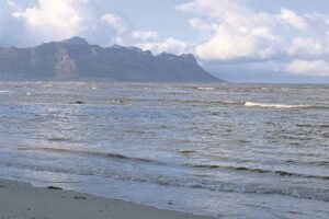 ‘Red tide’ hits the coastline around Strand Beach