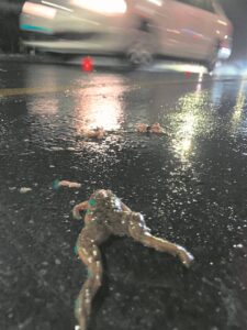 R44 frog migration chaos