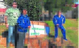 Plant bome sodat kinders dit kan benut