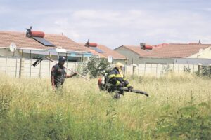 Dense field a concern for Victoria Park community