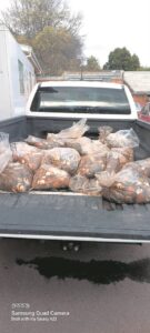 Numerous suspects nabbed in abalone bust on N2