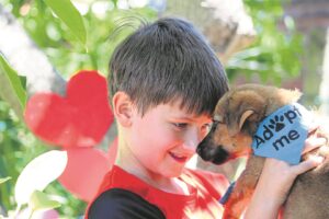 For the fiery love of furry friends