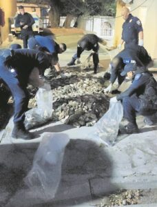 Perlemoen op R44 gekry