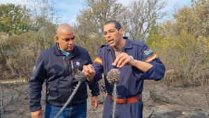 Helderberg Nature Reserve temporarily closed