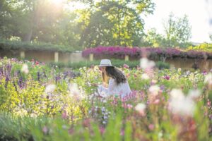 Experience Spring in full bloom at Vergelegen
