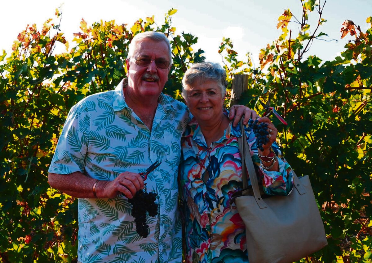 Grape expectations: Tom and Judy Kean in a Vergelegen vineyard.