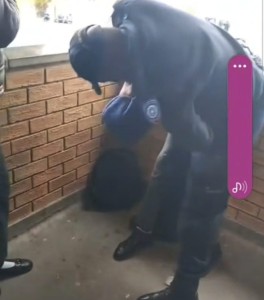 Selfoonvideo skok opnuut oor skoolbeampte se ingryping