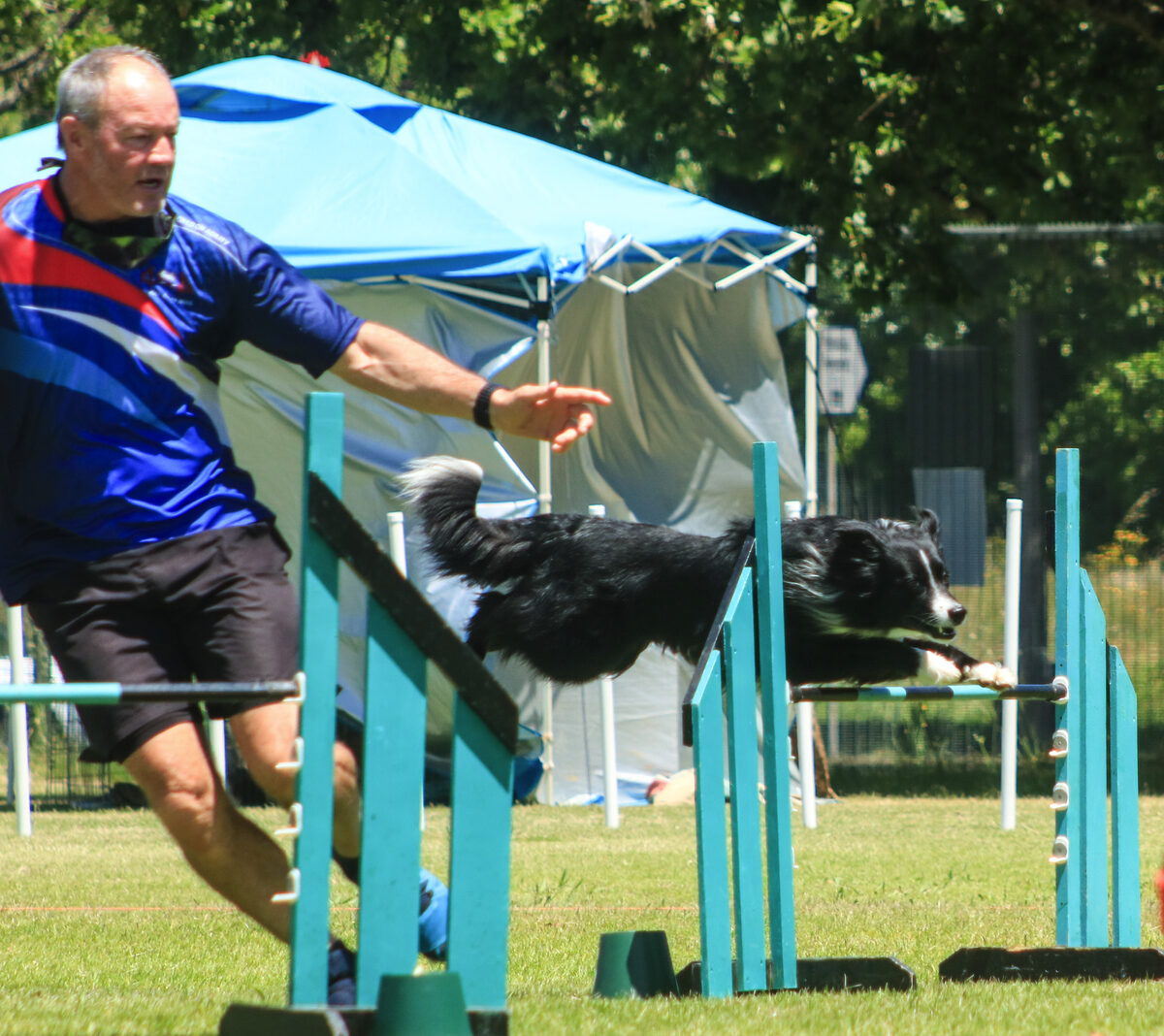 Gordon’s Bay canine agility duo off to Switzerland