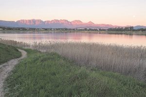 City plans a win for biodiversity