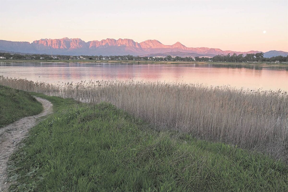 City plans a win for biodiversity