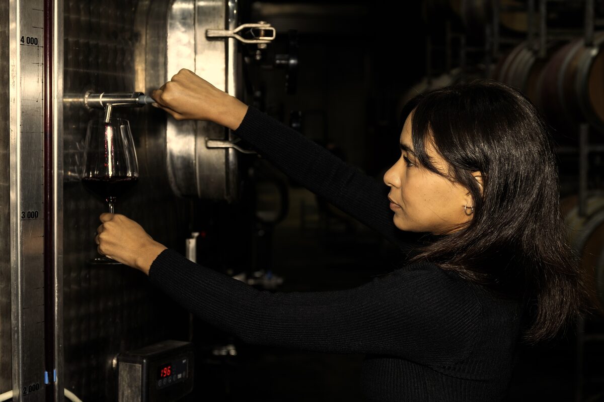 Winemaker Kaylin Willscott evaluating a vintage sample from barrels at Journey's End Vineyards in Sir Lowry's Pass.