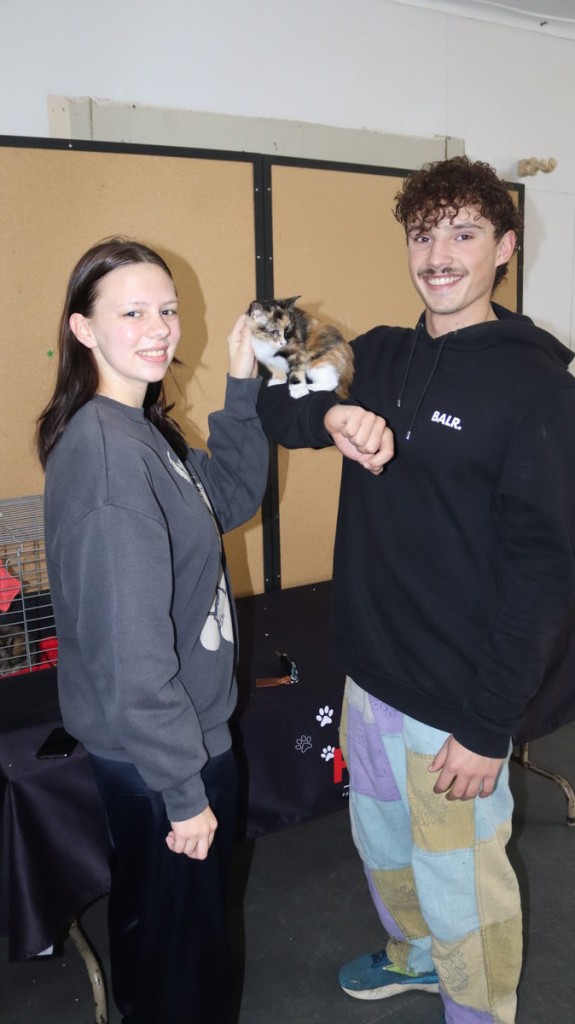 Angelina Bailey and AJ Krynauw play with a kitten at HART's adoption day, where both cats and dogs await forever homes.