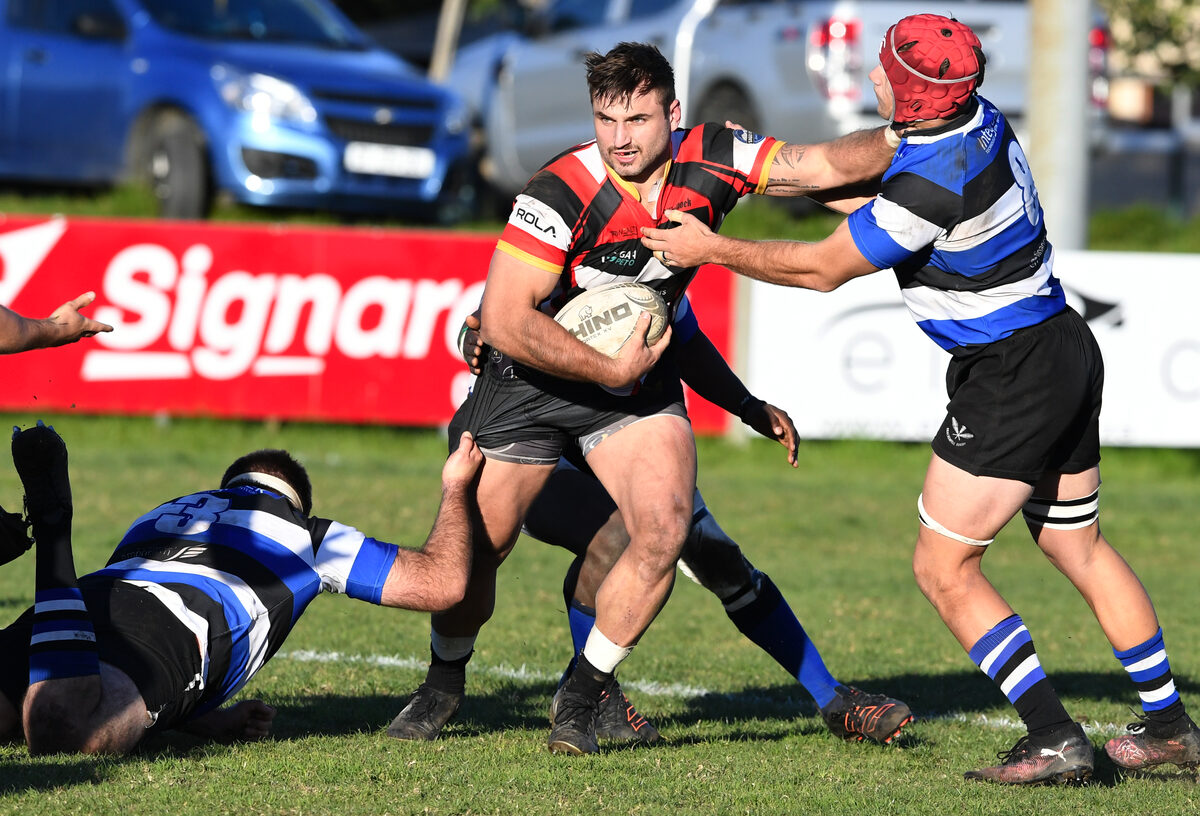 FOTO’S: Brakke kou Berge fyn