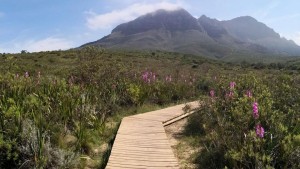 Two stranded hikers at Helderberg Nature Reserve guided to safety