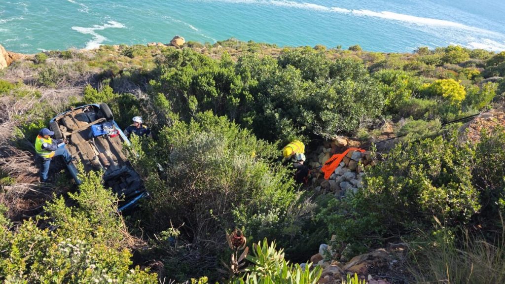 Bystanders reported the driver claimed she intentionally drove off the cliff. 