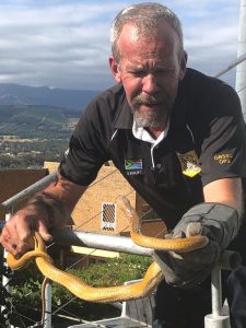 Snake season upon us again