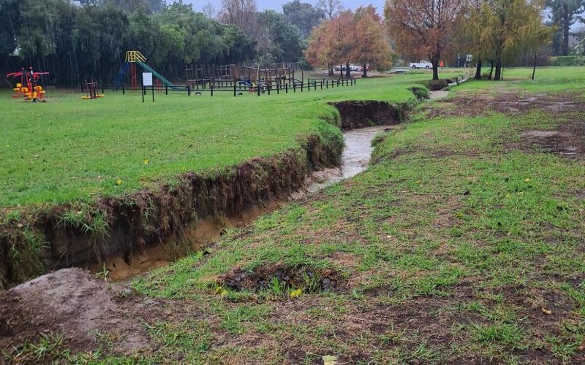 The Geelsloot in Somerset West.