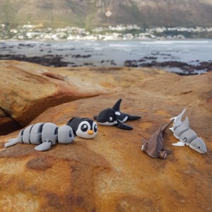 Local Critters fund conservation ahead of beach cleanup