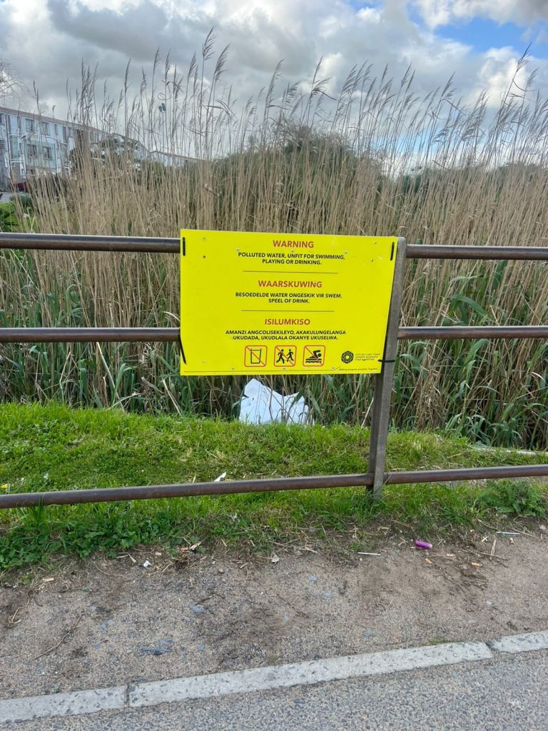 The current image has no alternative text. The file name is: WhatsAppImage2025-08_01383.jpg