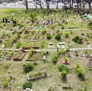 ‘My hijab, my heritage, my home: Why I’m done apologising . . . ‘