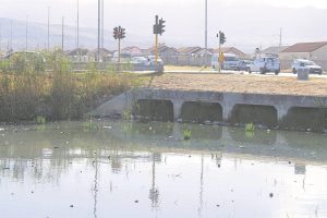 Soet River canal meeting chaos: Heated discussions over polluted waterway