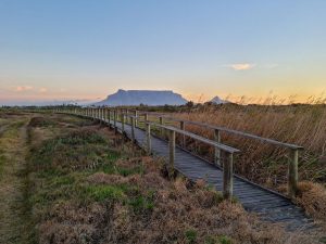 Explore Cape’s natural beauty this Heritage Day – for free!