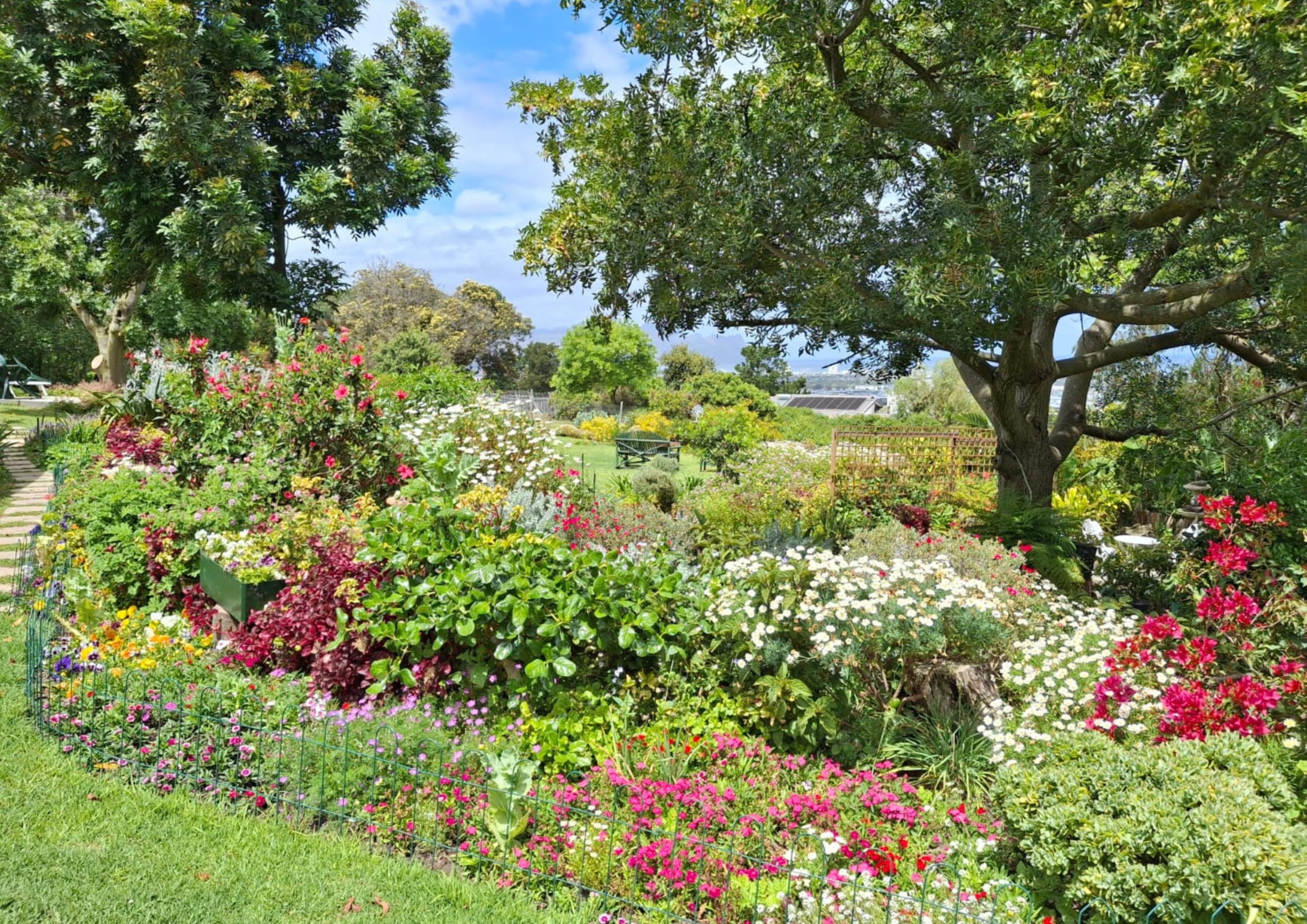 Blooming delight awaits at Helderberg Hospice Open Gardens Festival