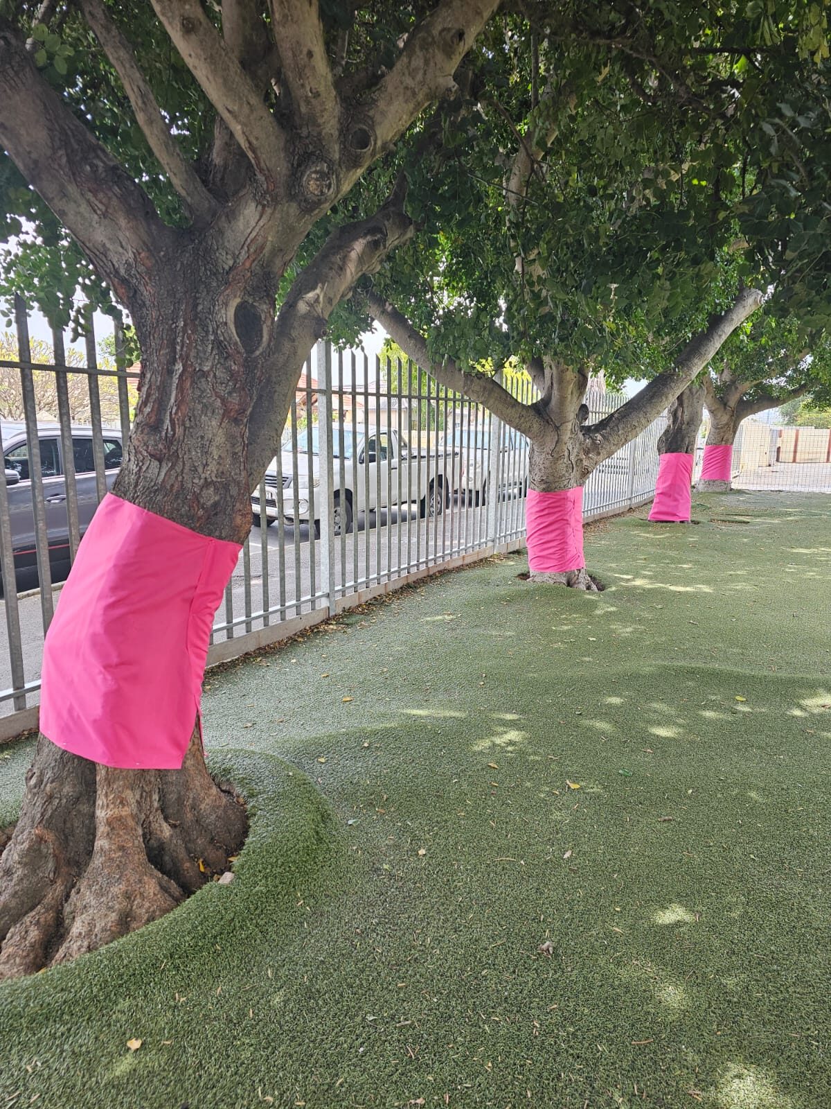 lein Lochieland bome in pienk materiaal ter ondersteuning van Mia-Miri Wessels.