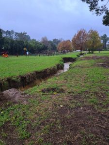 Environmental concerns force pause on Geelsloot infrastructure