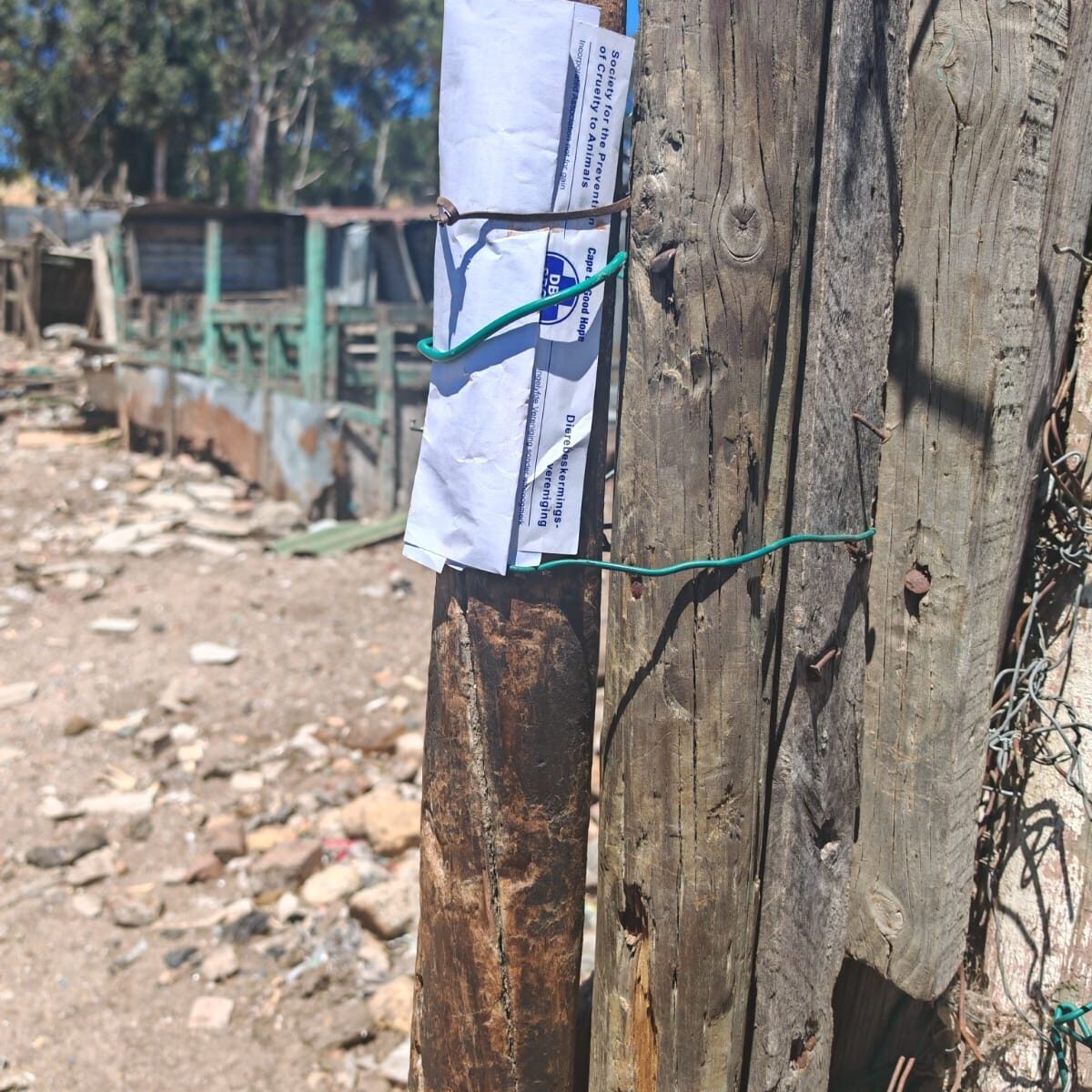 SPCA warning notice posted at Sir Lowry's Pass pig pens before confiscation operation.