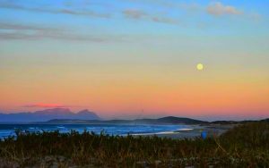 Leserfoto’s: Van druk strande tot stille natuuroomblikke