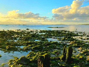 Mos hou rotse snoesig