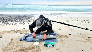 Fishing is about more than the catch