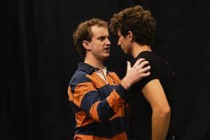 Gewilde stuk op die planke