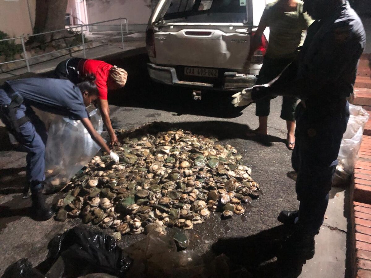 Police officers and DFFE officials examining seized abalone bags