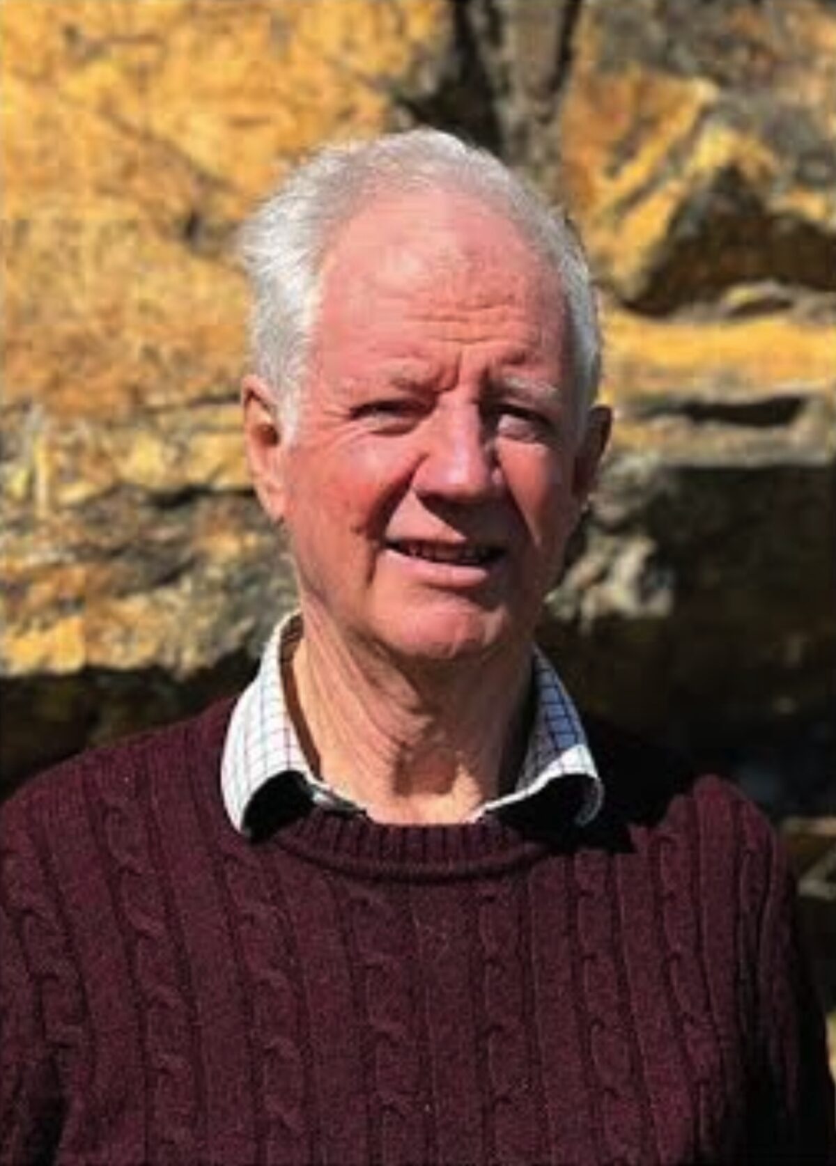 Intertwining birdlife, geology