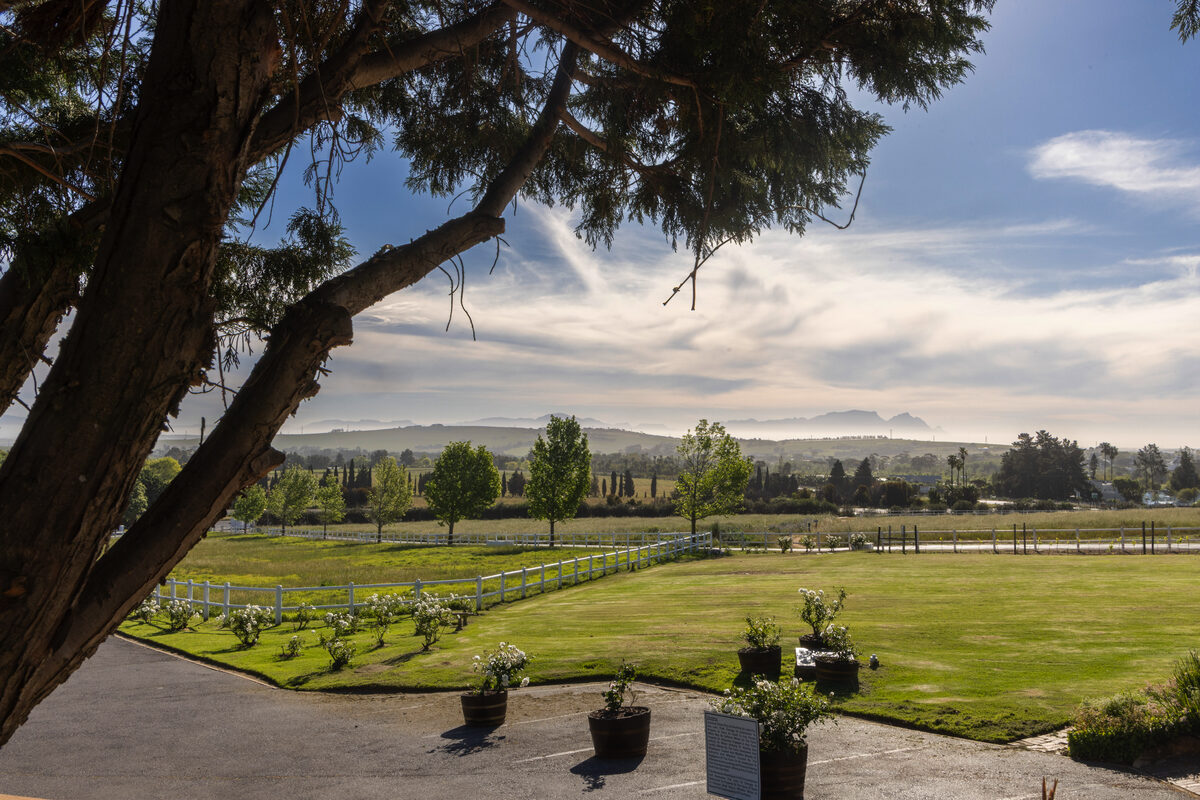 Avontuur Estate launches new Cellar Door