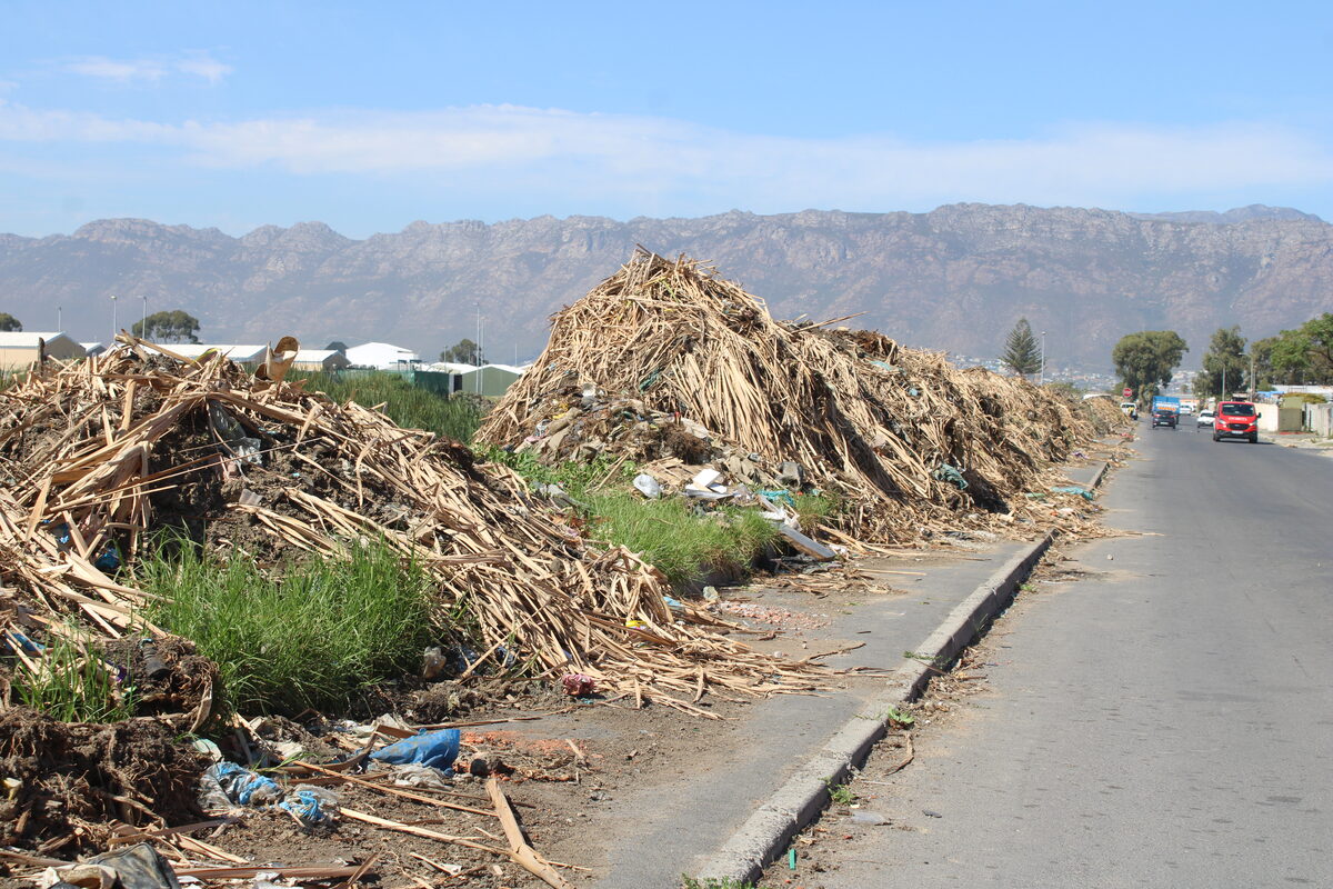 Piles of rotting vegetation and silt block the pedestrian walkway along Boundary Road in Strand. Photo: Jamey Gordon