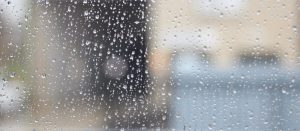 Perfect time to do a proper pre-winter assessment of your property