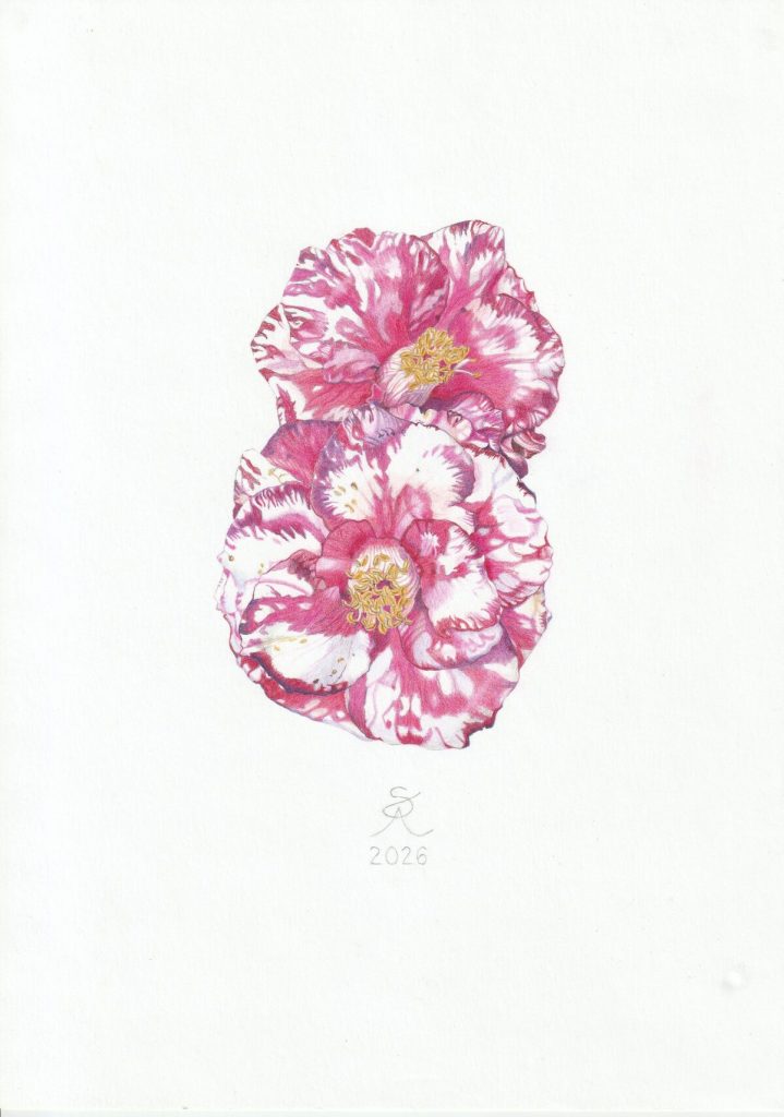 Camellia masterclass at Vergelegen.