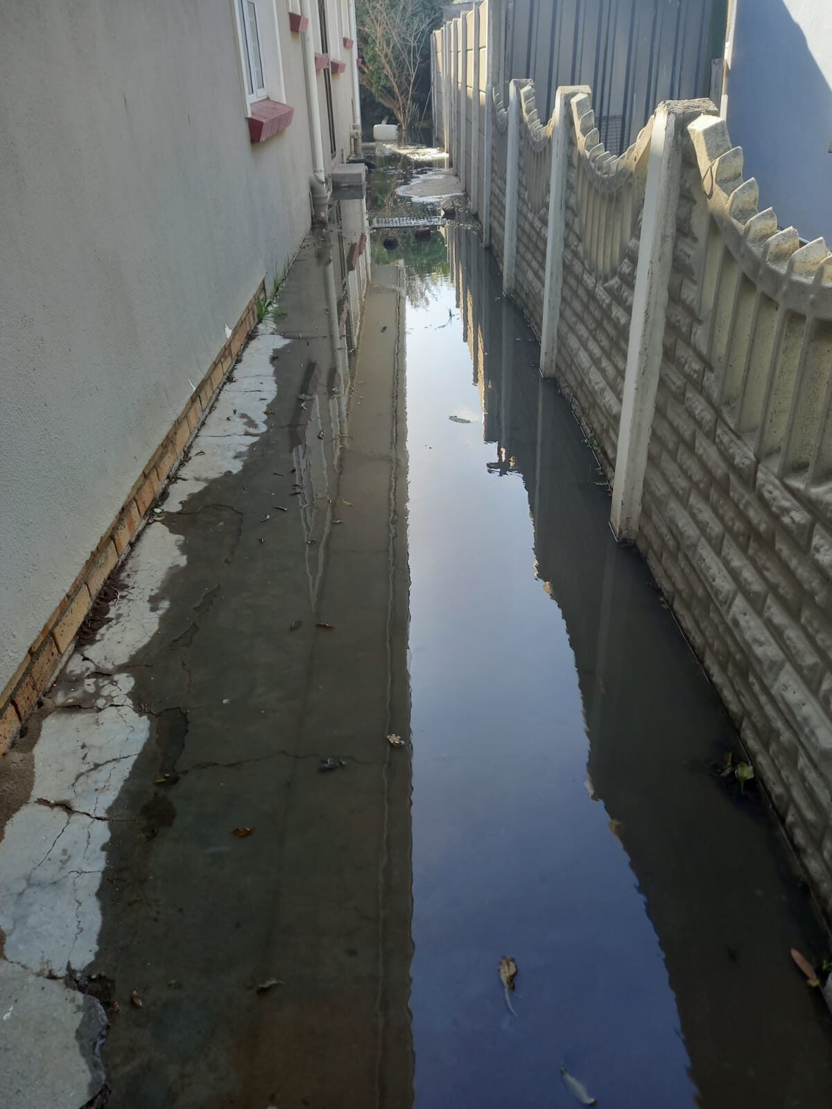 Sewage overflow at 6 Naomi Street, Strand, where spills have become a two-year constant.