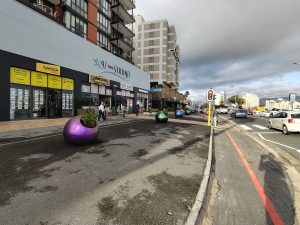Pearls with purpose: Growing potted pride along the Strand coast