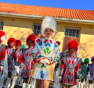 Trompoppies laat die Helderberg skitter met goud en silwer