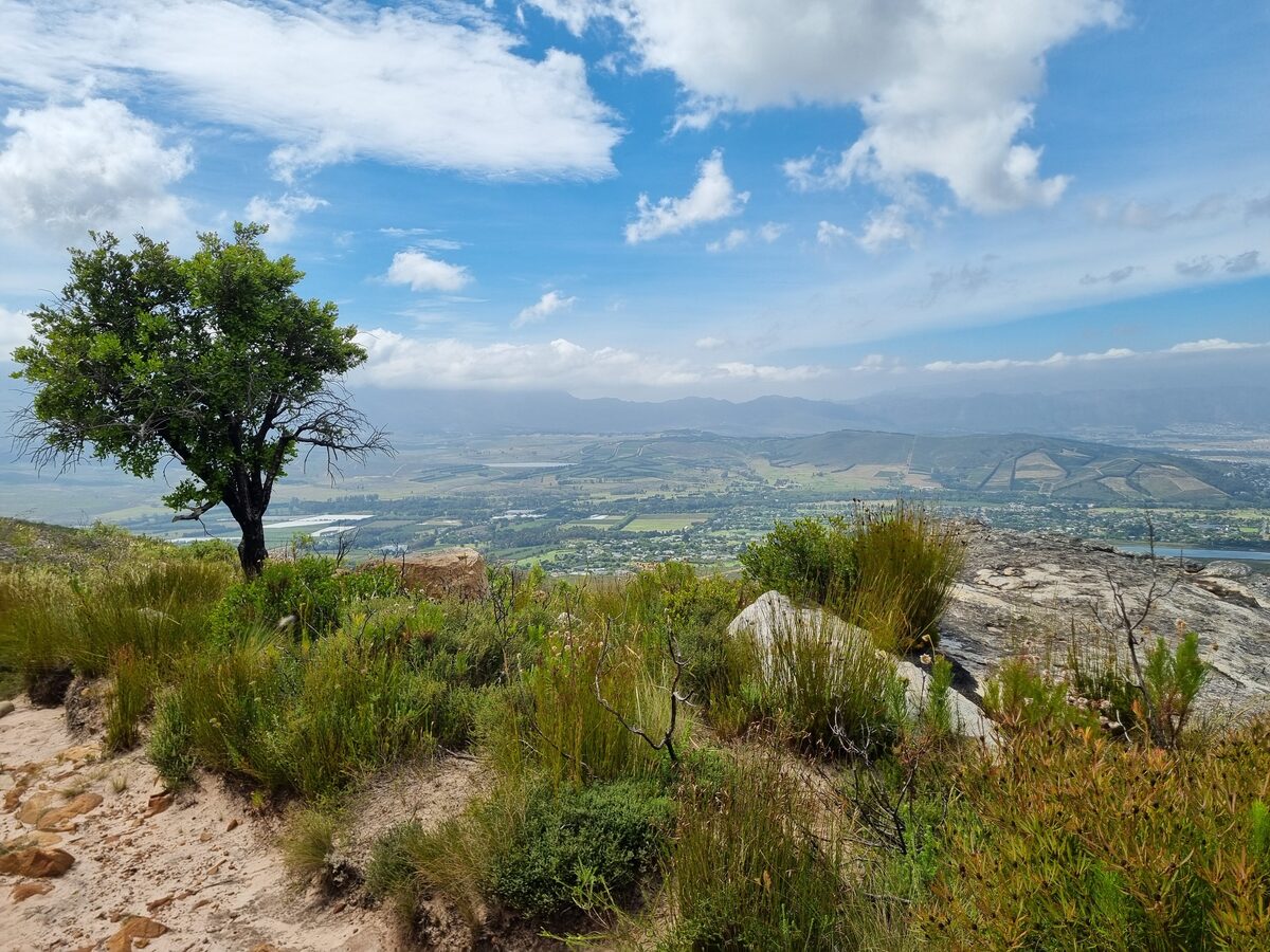 Visitors urged to prioritise safety at the Helderberg Nature Reserve.
