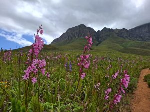Two incidents prompt Helderberg hiking safety reminder