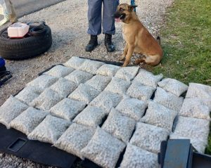 Crime in brief || 22 July: Weekly roundup of crime around the Helderberg